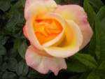 DSCN6123.JPG