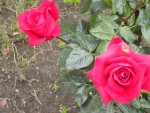 DSCN6114.JPG
