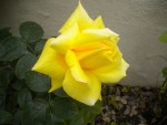 DSCN6107.JPG