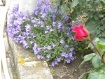 DSCN6101.JPG