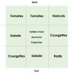 potager-1.jpg