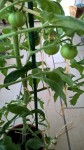 WP_20150506_19_16_08_Pro.jpg