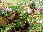 DSC06498.JPG