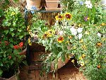 DSC06504.JPG