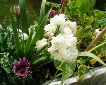 DSC06499.JPG