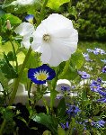 DSC06501.JPG