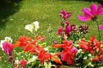 DSC06506.JPG