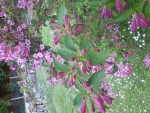 20150510_170646.jpg