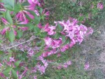 20150510_170805.jpg
