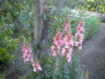 DSCN6149.JPG