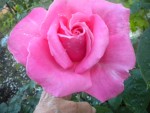 DSCN6155.JPG