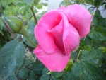 DSCN6156.JPG