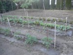 DSCN6152.JPG
