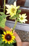DSC06497.JPG