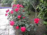 DSCN6170.JPG