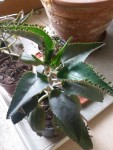 20150516_1.jpg