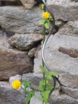 20150516_2.jpg