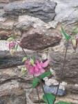 20150516_3.jpg