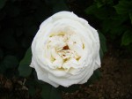 Photo 089.jpg