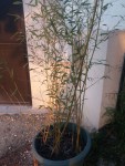 20150511_205328.jpg