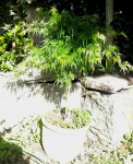2015-05-18-09-43-49_photo.jpg
