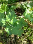 20150520_083534.jpg