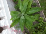 20150521_115820.jpg