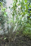 2015-05-20-21-07-59_photo.jpg