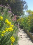 jardin.jpg
