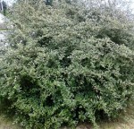 20150523_140323.jpg