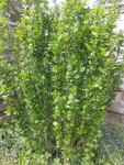 20150523_140439.jpg