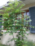 20150523_140509.jpg