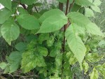 20150523_140517.jpg