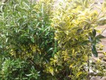 20150523_140412.jpg