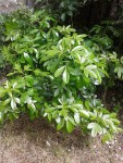 20150523_140339.jpg