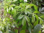 20150523_140344.jpg