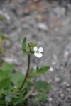 DSC_0291.JPG