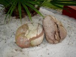 Photo 162.jpg