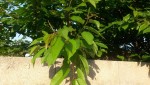 20150527_193805.jpg