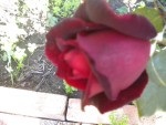 DSCN6190.JPG