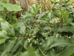 DSCF5319.JPG