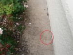 20150530_095335.jpg
