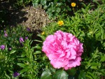 Photo 209.jpg