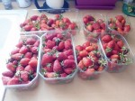 fraises 05.2015.jpg