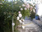 DSCN6194.JPG