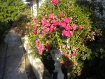 DSCN6195.JPG