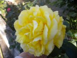 DSCN6196.JPG