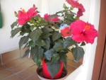 DSCN6202.JPG
