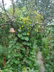 tanaisie 19.08.08 004.jpg