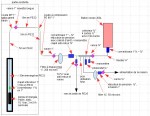 schema puit 6.jpg